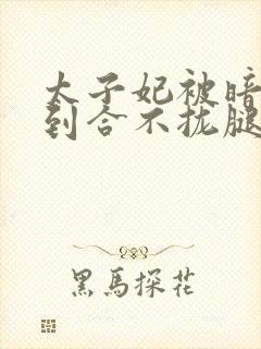 太子妃被暗卫C到合不拢腿