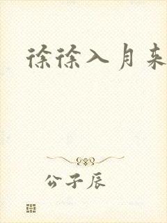 徐徐入月来
