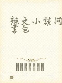 辣文小说网第二书包