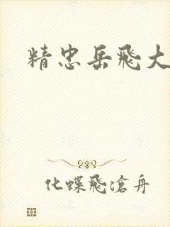 精忠岳飞大结局