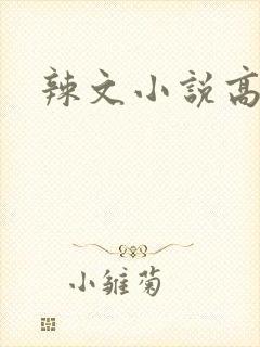 辣文小说高h