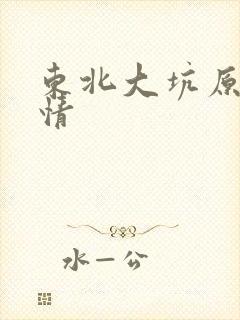 东北大坑原始激情