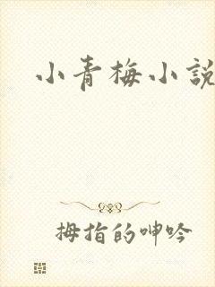 小青梅小说