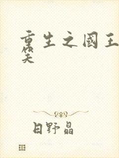 重生之国王的微笑