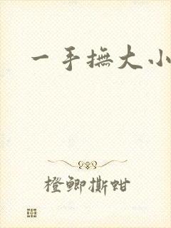 一手抚大小说