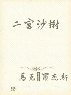 二宫沙树