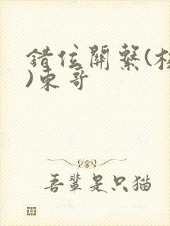 错位关系(校园)东哥