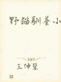 野猫驯养小说