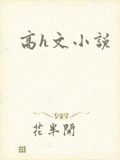 高h文小说