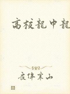 高校龙中龙