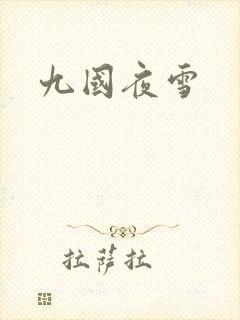 九国夜雪