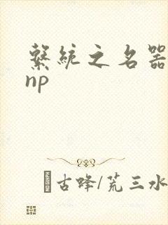 系统之名器攻略np