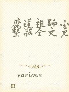 魔道祖师小说完整版全文免费阅读