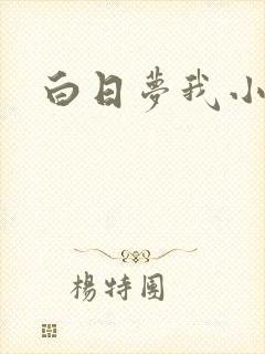 白日梦我小说