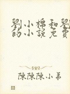 刘小棉和刘易文的小说免费阅读