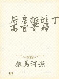 厨房挺进丁字裤高官贵妇