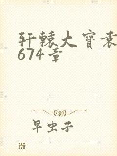 轩辕大宝袁雪妃674章