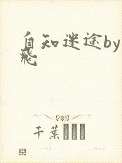 自知迷途by二飞