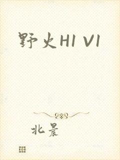 野火H1 V1