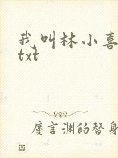 我叫林小喜小说txt