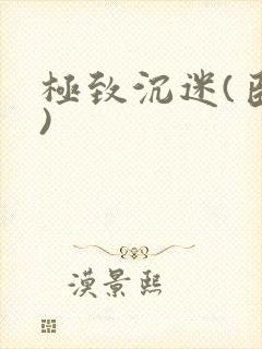 极致沉迷(臣年)