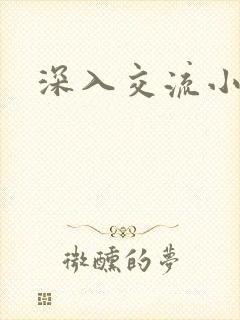 深入交流小说