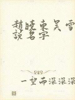 赵晓东吴雪晴小说名字