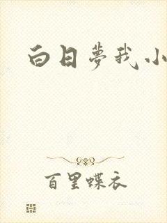 白日梦我小说