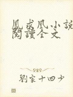 凤求凰小说免费阅读全文