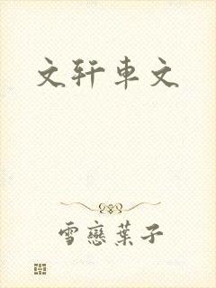 文轩车文