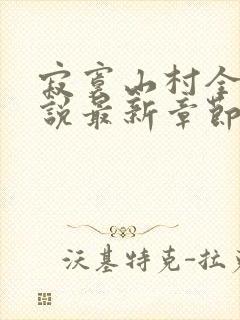 寂寞山村全部小说最新章节