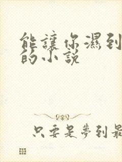 能让你湿到不行的小说