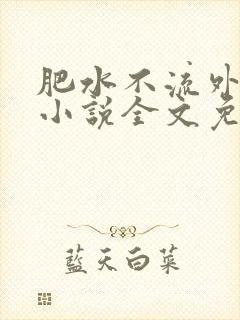 肥水不流外人田小说全文免费阅读1