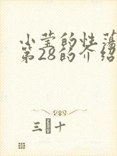 小莹的性荡生活第28的介绍