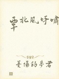 西北风呼啸的中午