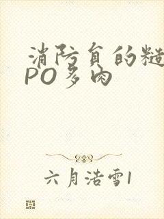 消防员的糙汉文PO多肉