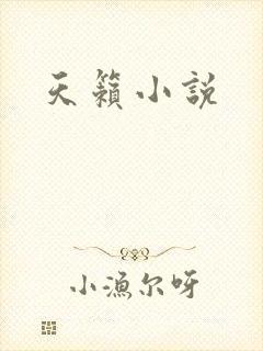 天籁小说