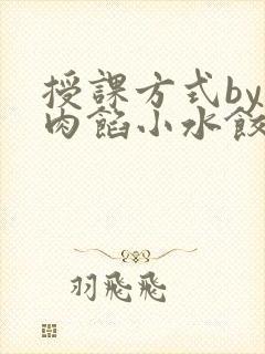 授课方式by 肉馅小水饺