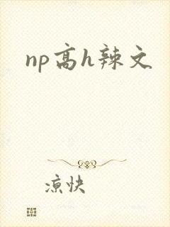 np高h辣文