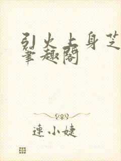 引火上身芝麻糖笔趣阁