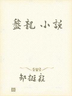 盘龙 小说