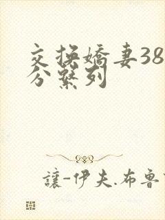 交换娇妻38部分系列