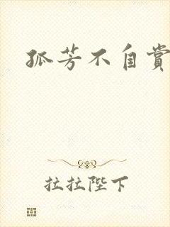 孤芳不自赏小说