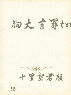 胸大有罪txt