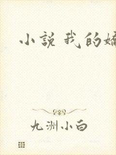 小说 我的娇妻