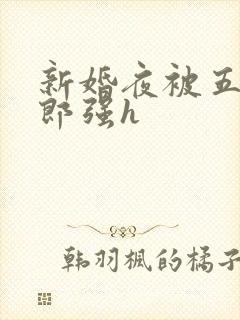 新婚夜被五个伴郎强h