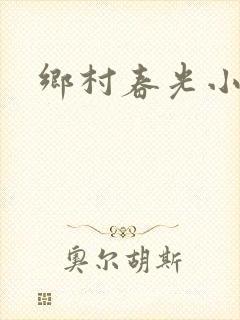 乡村春光小说