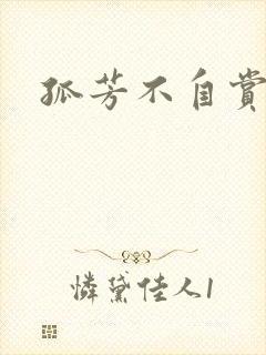 孤芳不自赏小说