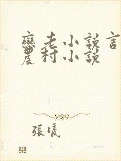 恋老小说言情网农村小说