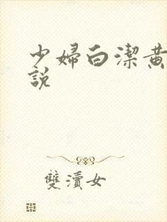 少妇白洁黄色小说